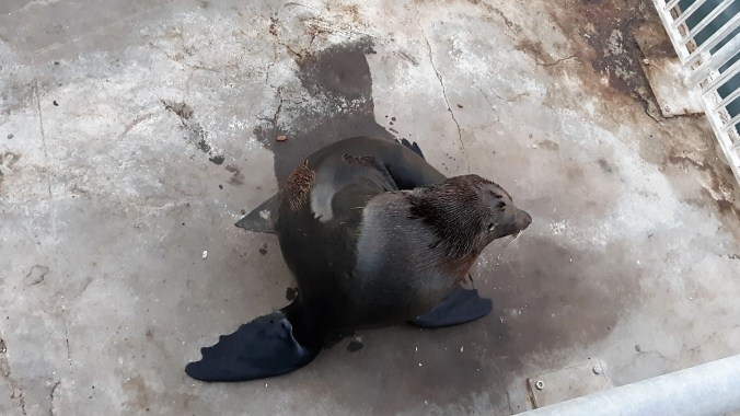 20181021_190356_resized