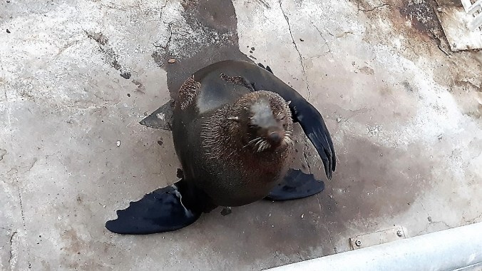 20181021_190422_resized